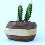 Geometric Cactus & Succulent Planter