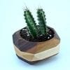 Geometric Cactus & Succulent Planter