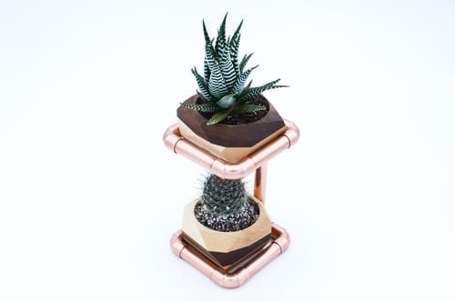 Geometric Double Cactus & Succulent Planter