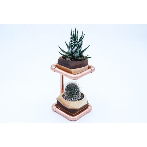Geometric Double Cactus & Succulent Planter
