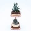 Geometric Double Cactus & Succulent Planter