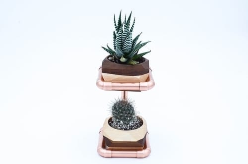 Geometric Double Cactus & Succulent Planter