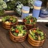 Acacia Wood Individual Salad Bowl x 4