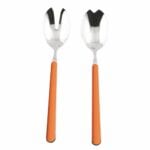 Salad Set 2 PCS Fantasia Carota